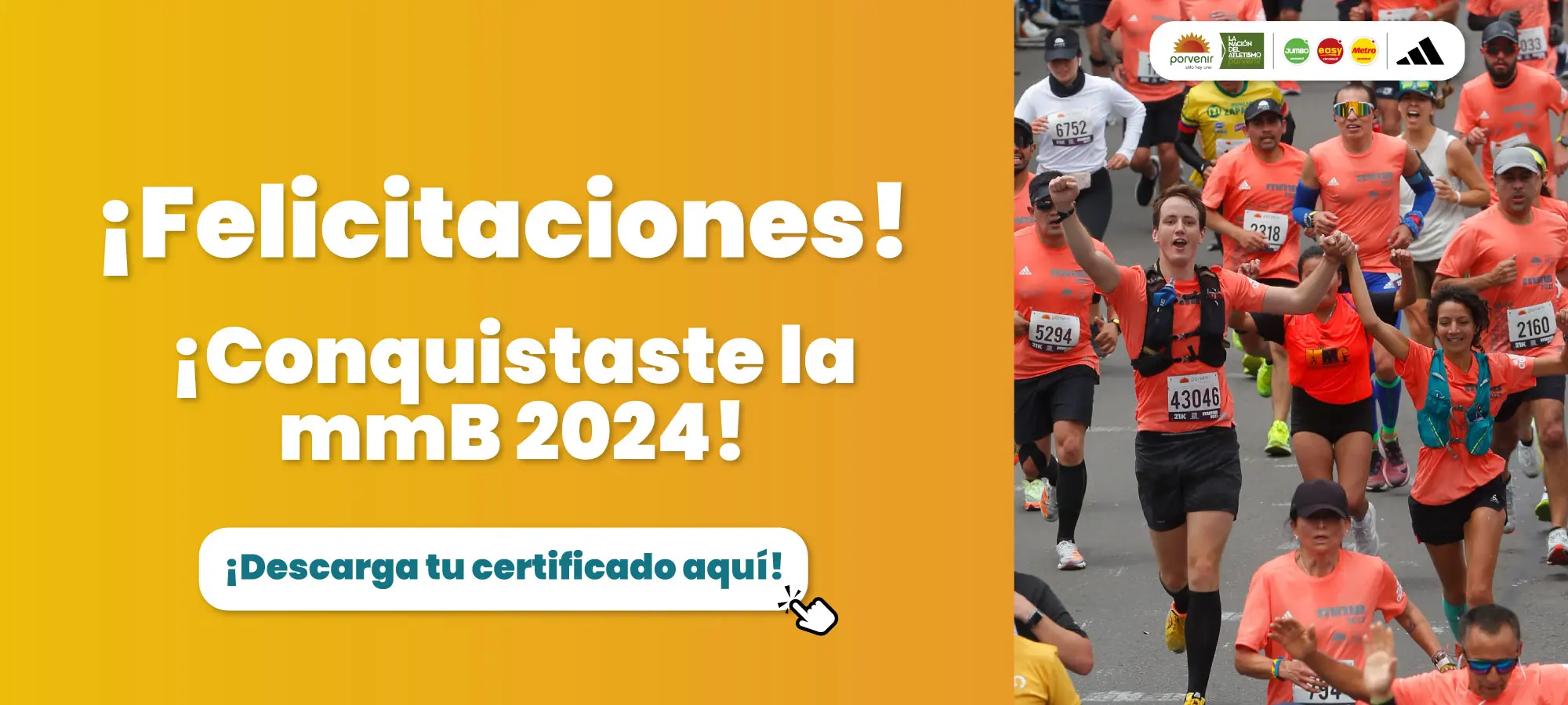 Consulta de resultados mmB 2024