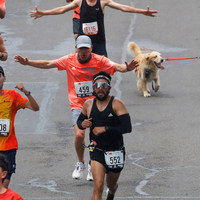 Corredores con manos arriba al cruzar la meta en la media maratón de Bogotá 2023