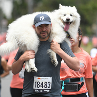 Hombre corriendo cargando al perro