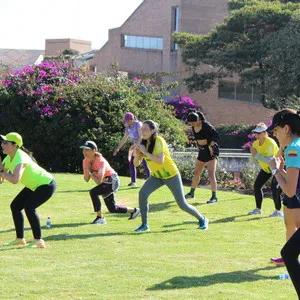 Ejersicios de entrenamiento