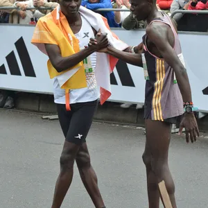 Camaradería entre élites