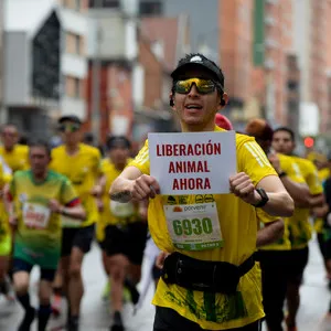 Atleta corriendo por los animales