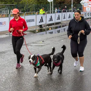 Dos perros corriendo junto a dos mujeres atletas