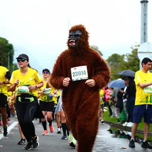 Hombre disfrazado de gorila en el recorrido de 21 K