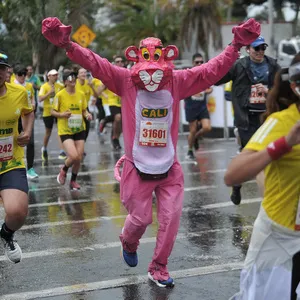 Pantera rosa con los brazos arriba corriendo en asfalto