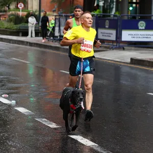 Atleta corriendo en bajada con el perro la media maratón de Bogotá