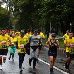 Atletas corriendo por una avenida arbolada media maratón 2024