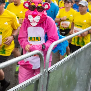 Pantera rosa de Cali presente corriendo por las calles de Bogotá