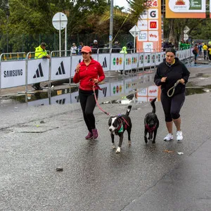 Dos mujeres acompañadas de sus mascotas listas para correr